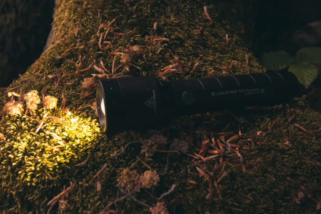 Ledlenser Taschenlampe beleuchtet einen moosbedeckten Baumstamm im Wald