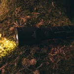 Ledlenser Taschenlampe Beleuchtet Einen Moosbedeckten Baumstamm Im Wald